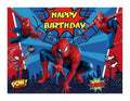 Spiderman Theme Backdrop