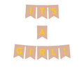 Its A Girl Banner