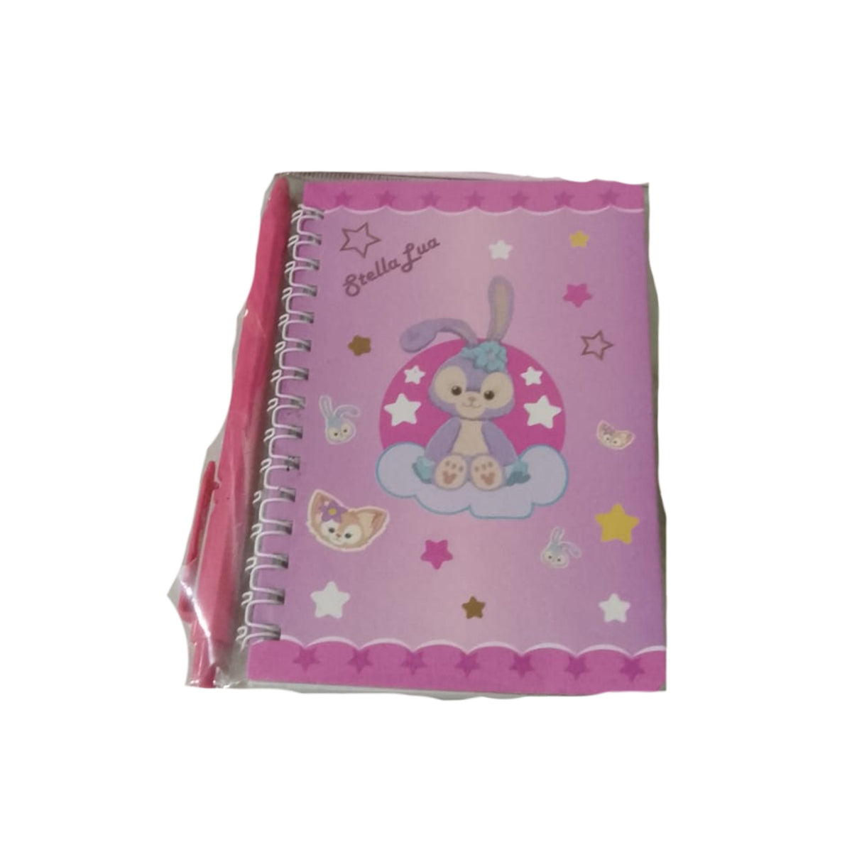 Premium Spiral Notebook & Pen