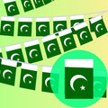 Pakistan Flag Buntings – Independence Day Hanging Decor for Homes, Schools & Offices 🇵🇰✨