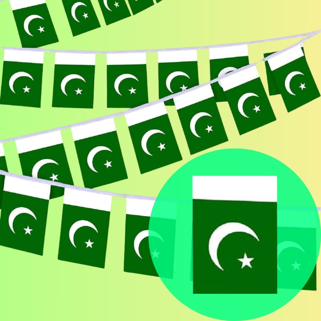 Pakistan Flag Buntings – Independence Day Hanging Decor for Homes, Schools & Offices 🇵🇰✨