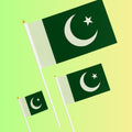 Pakistan Flags – Small, Medium & Large Sizes for Independence Day Celebrations 🇵🇰🎉