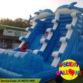 Dolphin Slide Jumping Castle
