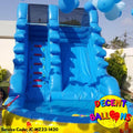 Summer Pool Slide Jumping Castle Combo