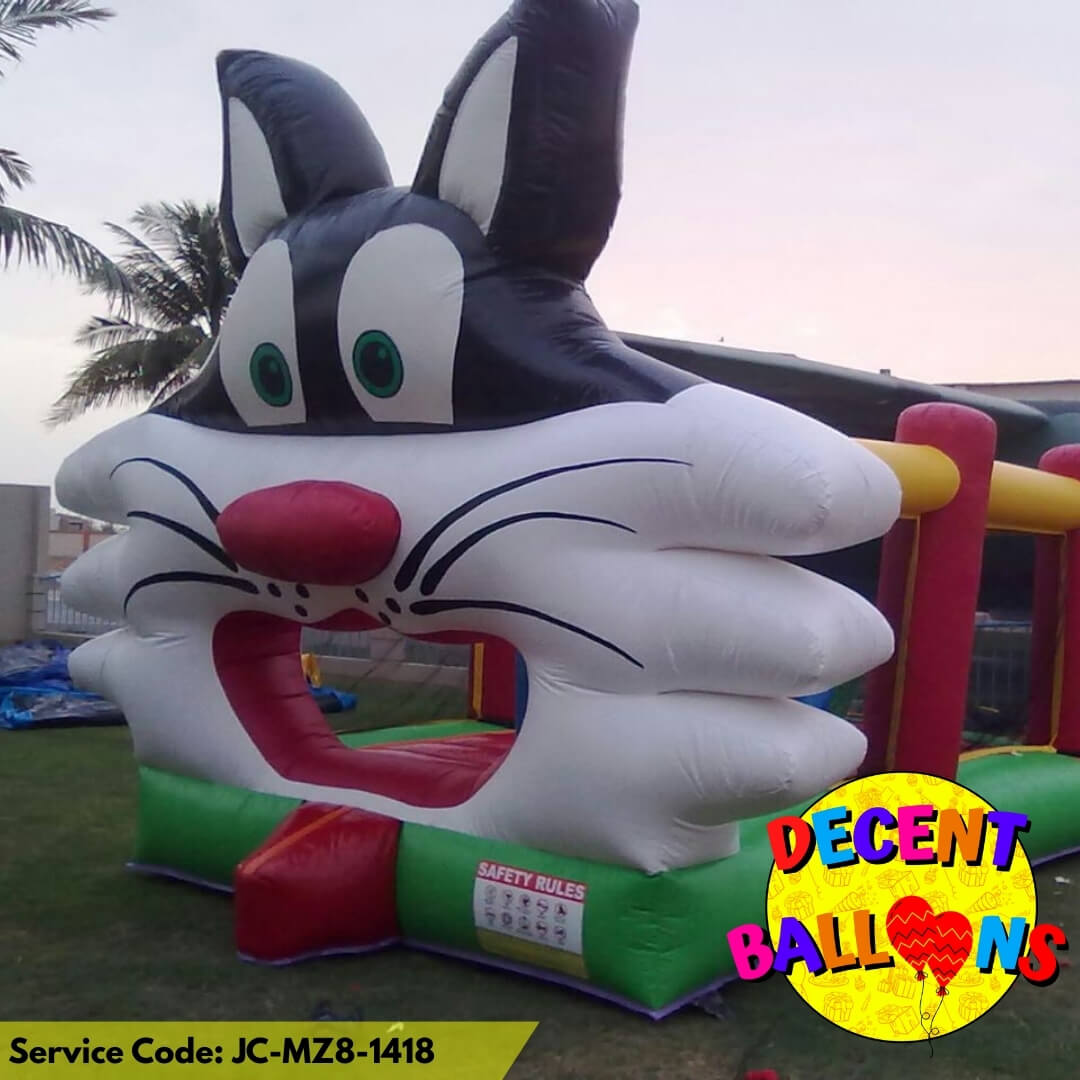 Looney Tunes Jumping Castle Playland Rental